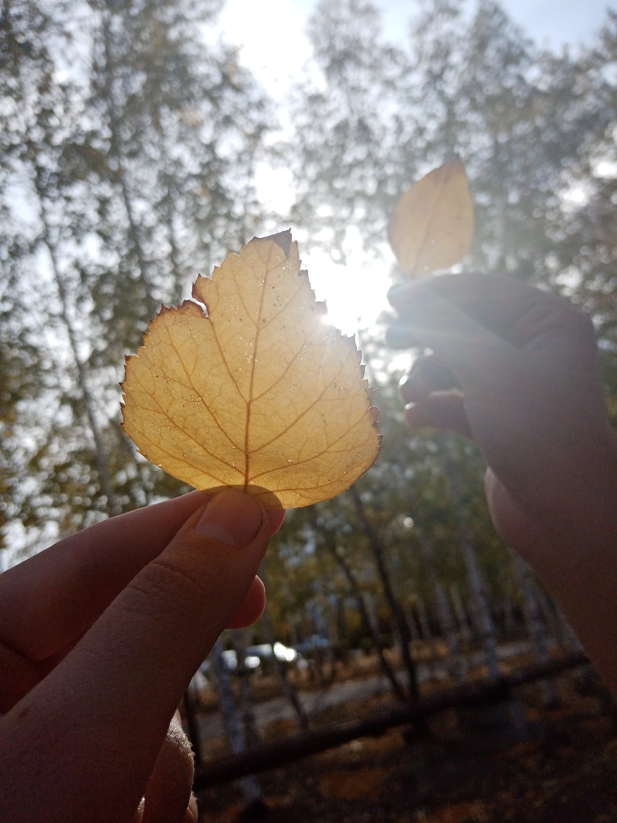 фото из личного архива 