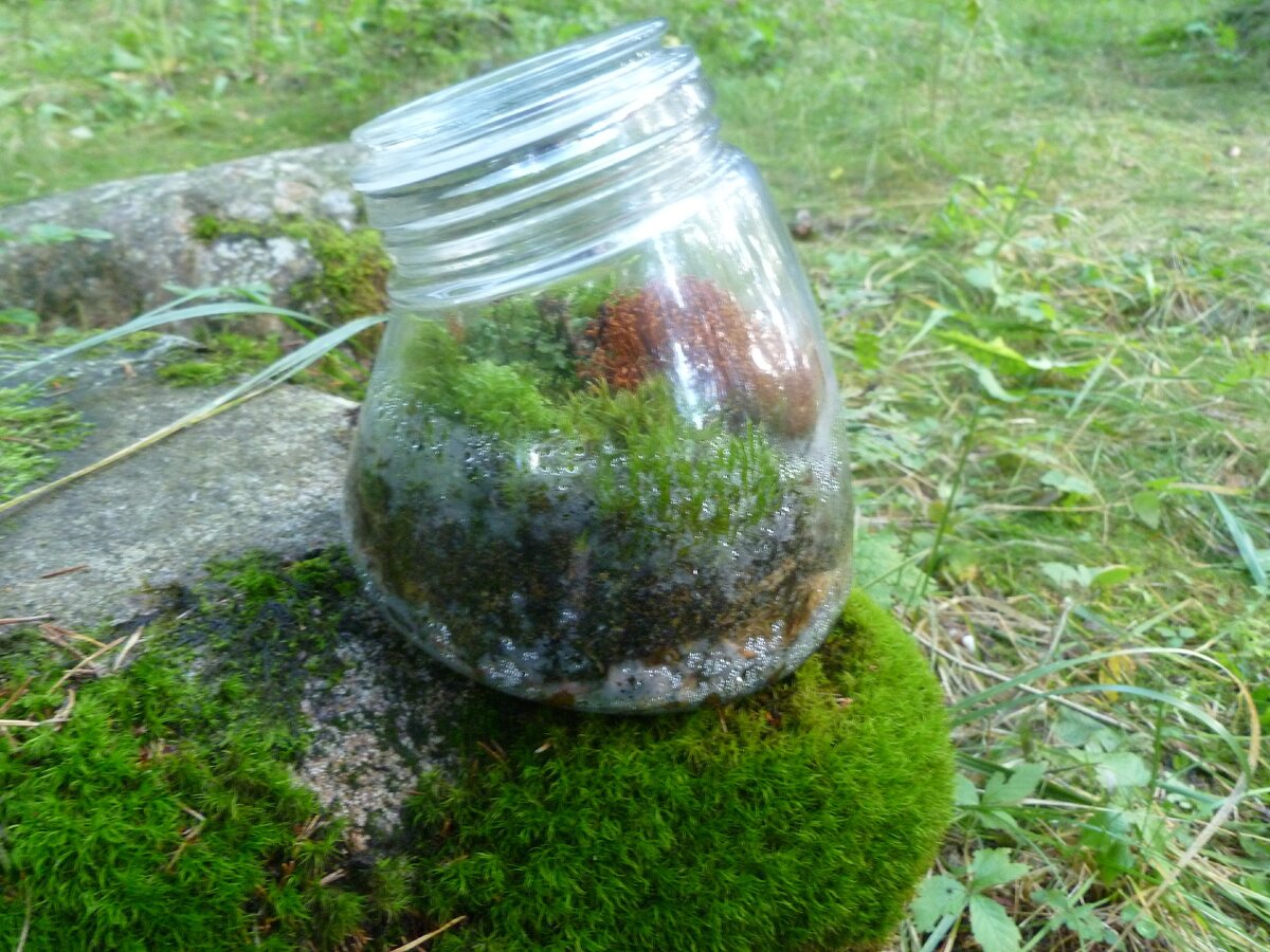 Большая банка для пряностей