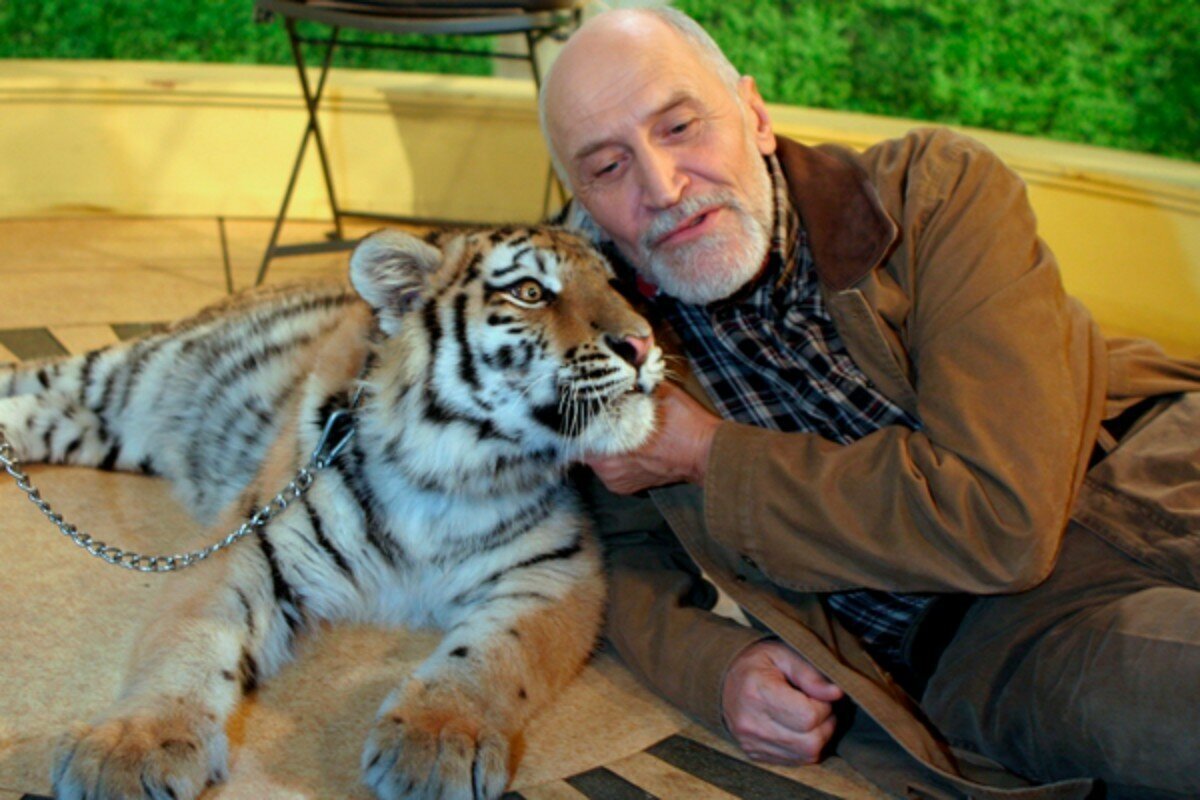 Источник https://cdn.fishki.net/upload/post/2019/06/20/3011514/picsart-06-19-11.jpg