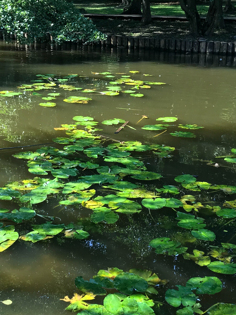 Фото М. Костевич