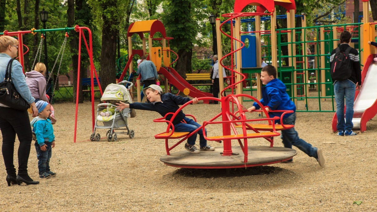 Фото из свободных источников