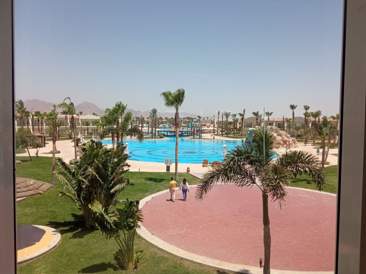 Отдых в Египте Обзор отеля Hilton Sharks Bay в Шарм-эш-Шейхе | Magic Egypt  | Дзен