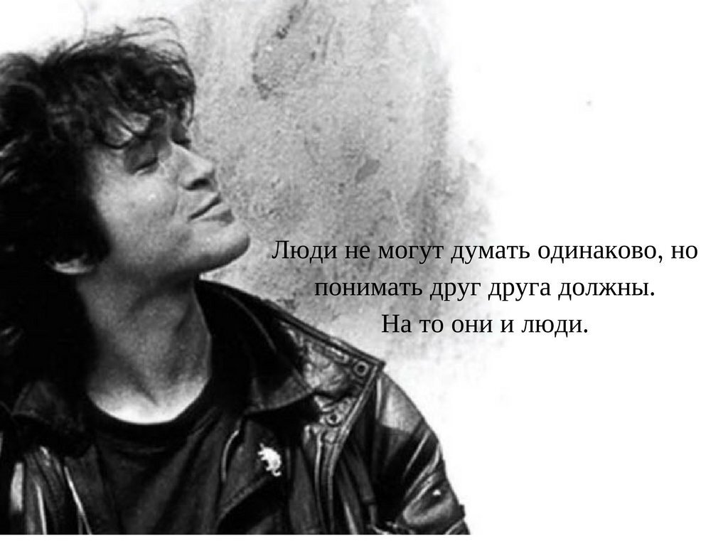 Цой все идет по плану