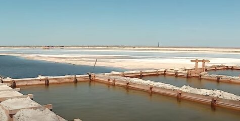 Соляные чеки. Весной сюда подают рапу. Под действием солнца и ветра она испаряется и на дне образуется пласт соли