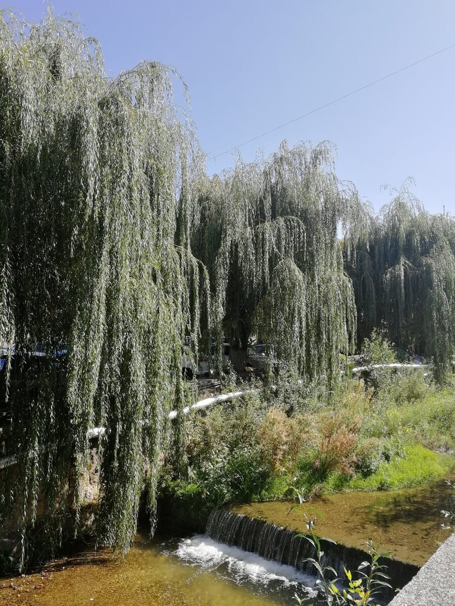 Курортный парк