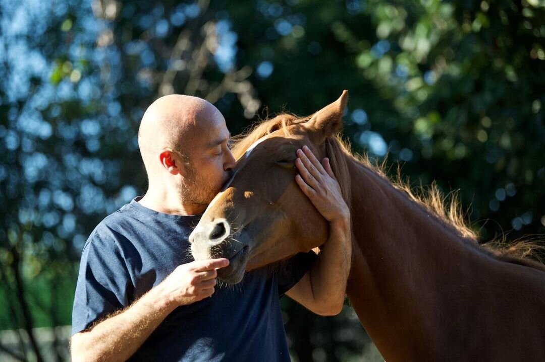Фото: © instagram.com/mertakkoek 