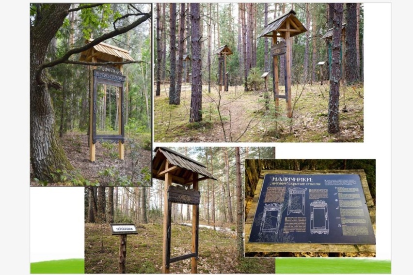 ФОТО:  «Брянский лес»