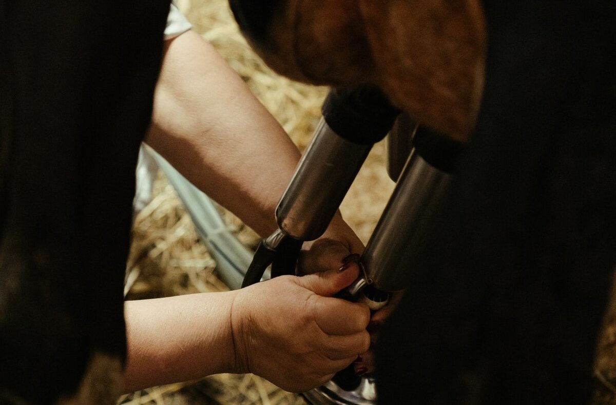 Источник фото - Pexels. Автор - cottonbro