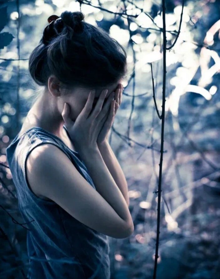 Яндекс картинки