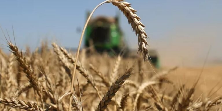 Фото: РИА «Новости» / Виталий Тимкив