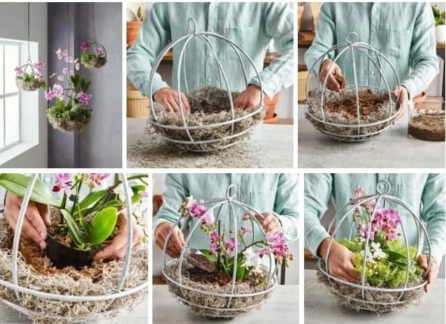 Купить стеклянные горшки для орхидей в Киеве ➩ интернет-магазин GreenDecor