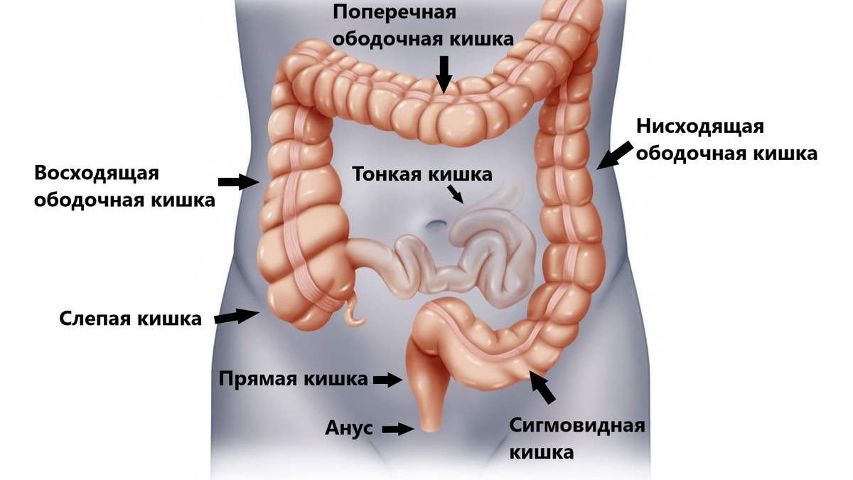 Фотографии результатов лечения в Ростове-на-Дону - клиника Doctor-Prof