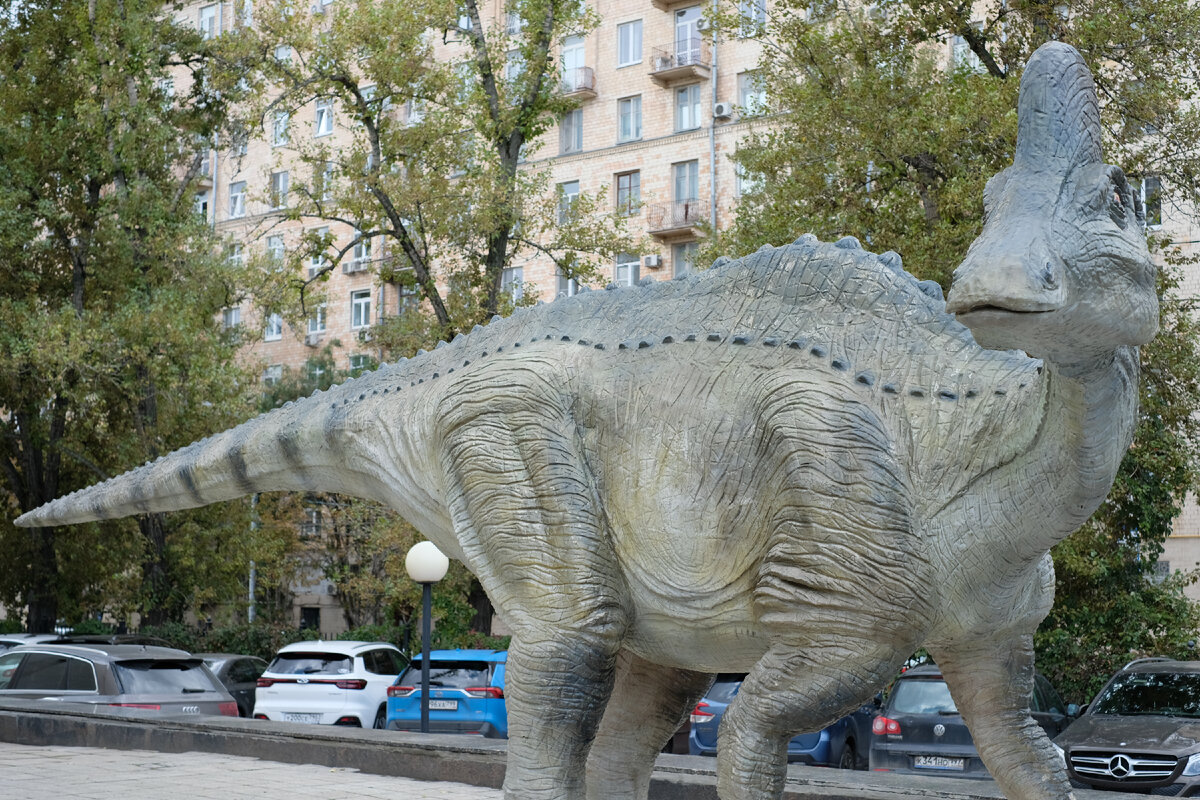 Модель Амурозавра у входа в музей