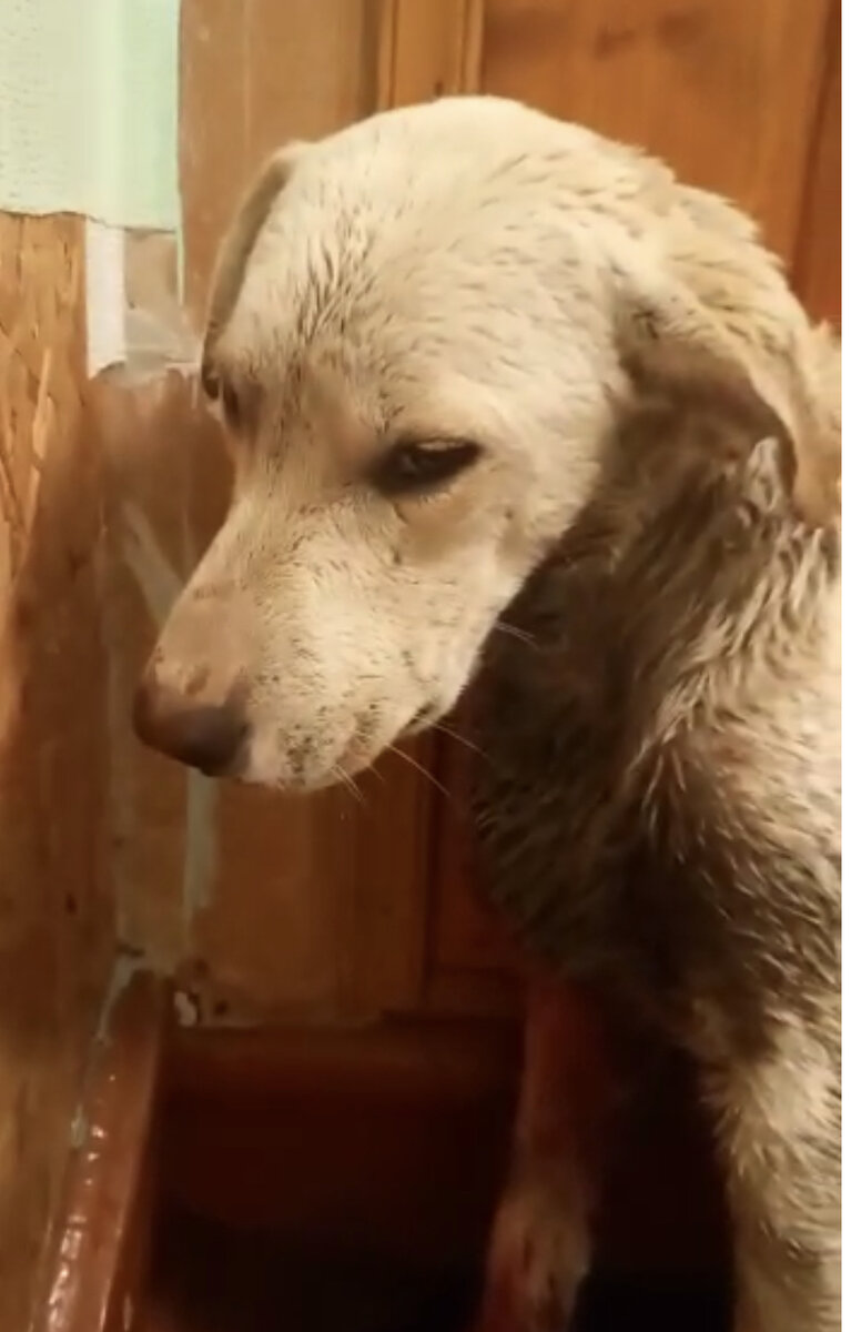 Максик в коридорчике