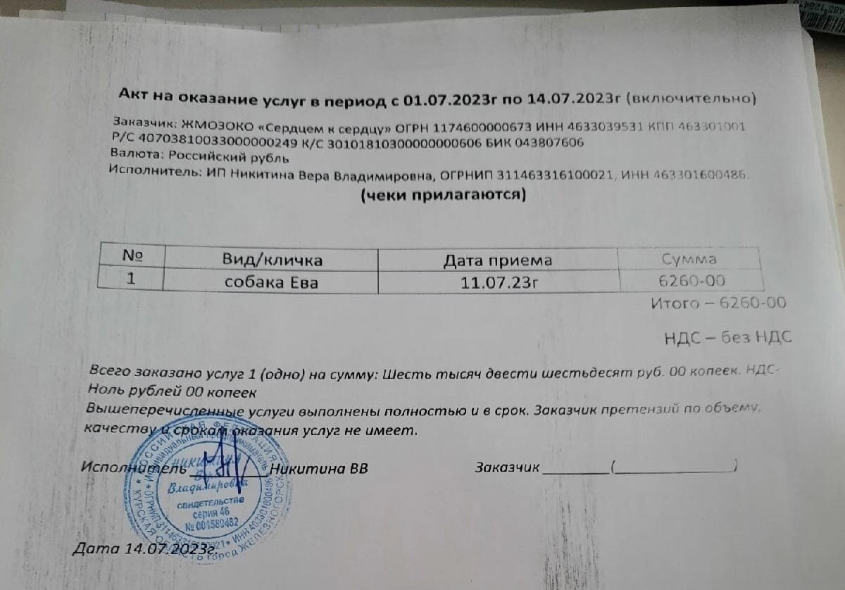 Наши траты за полмесяца в ветклинике