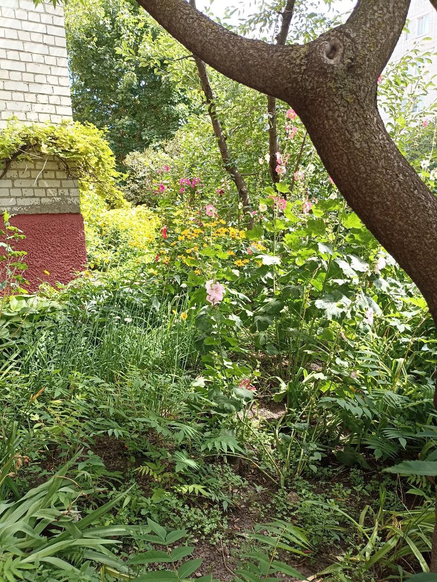 на природе собачкам удобнее