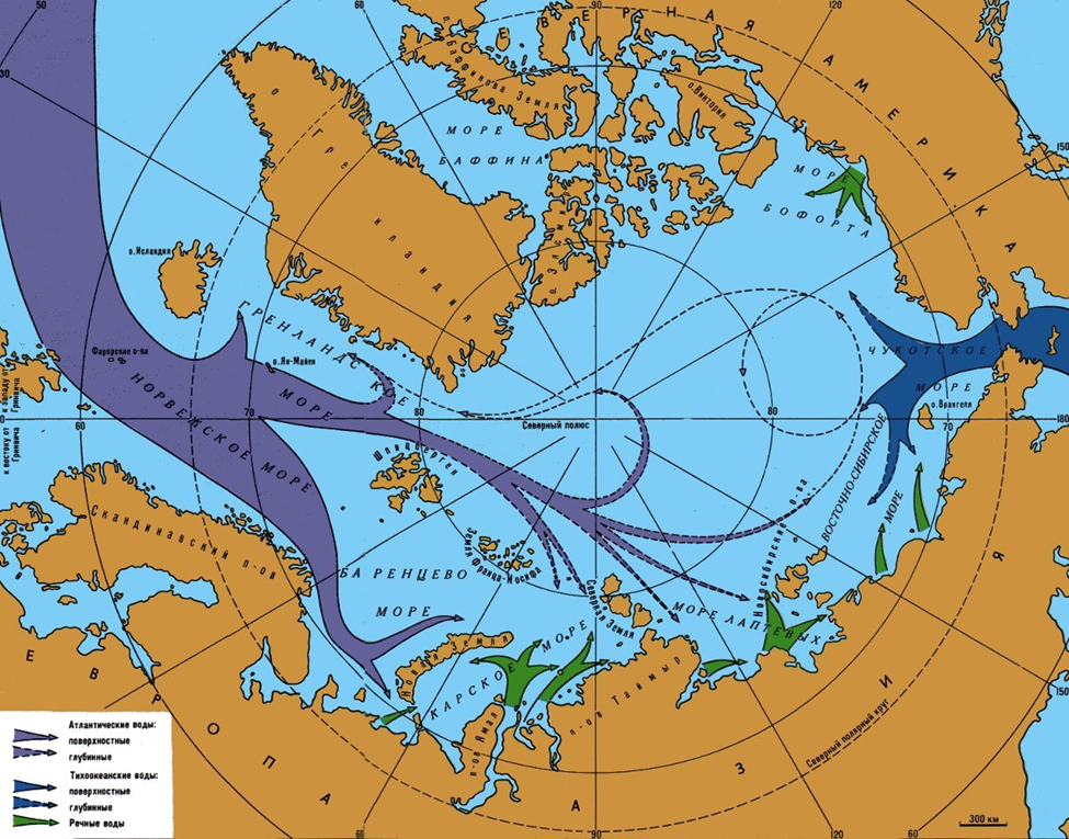 Особенности морских течениях ледовитого океана. Карта морских течений Северного Ледовитого океана. Морские течения Северного Ледовитого океана. Течения Карского моря. Гольфстрим течения Северного Ледовитого океана.