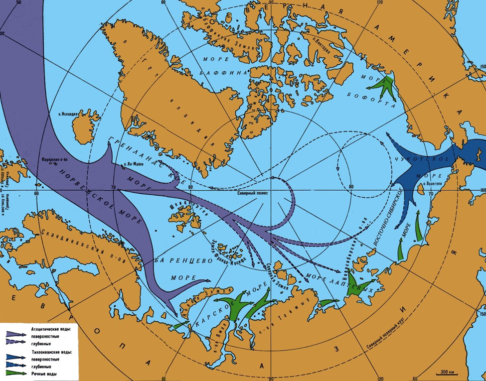 Берингово море морские течения. Течения Северного Ледовитого океана. Течения Карского моря. Гольфстрим течения Северного Ледовитого океана. Течения Северного Ледовитого океана на карте.