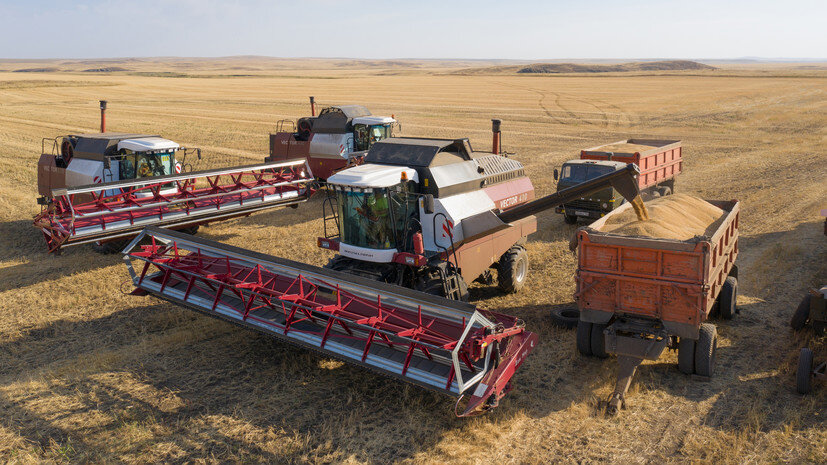   Gettyimages.ru Aleksander Murzyak/Anadolu Agency
