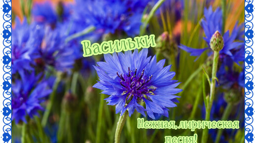 Полная Любви Песни Скачать Бесплатно | Дзен