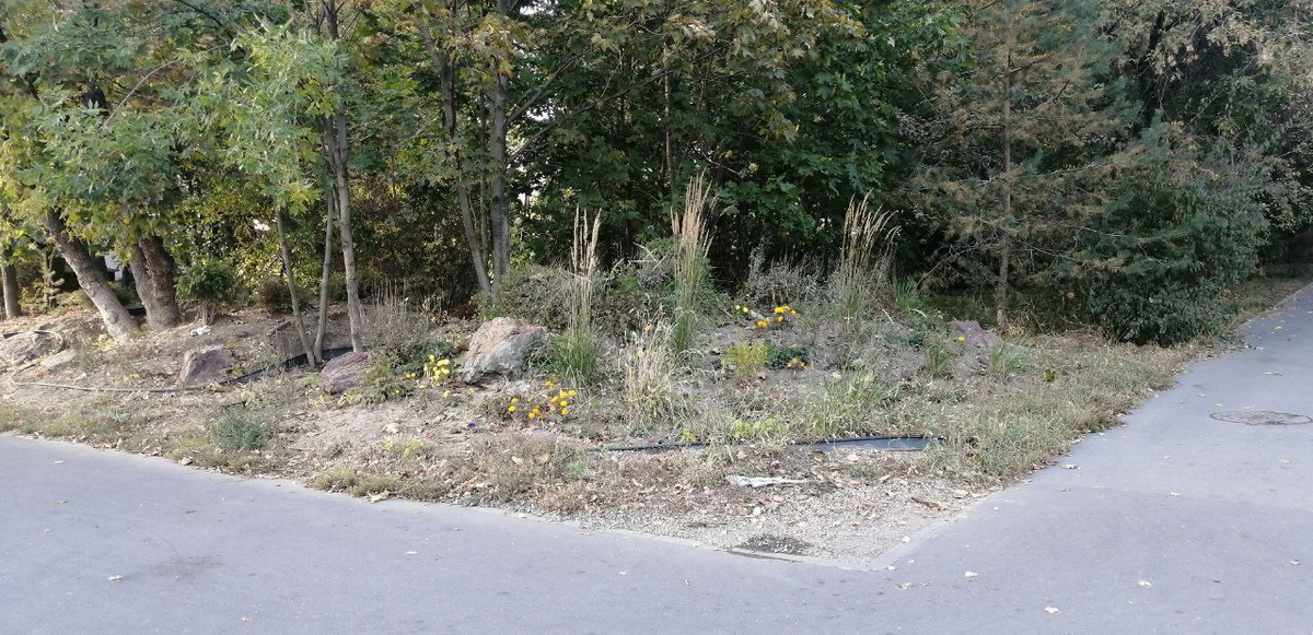 Остатки красоты на перекрестке.