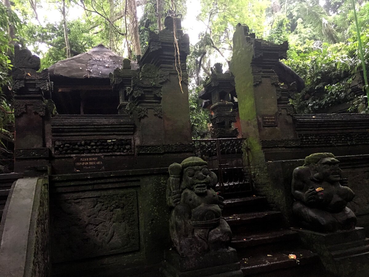 Бали. Убуд. Лес обезьян.