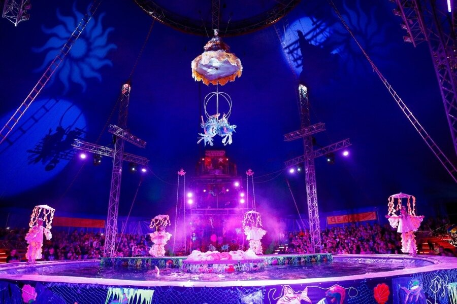 Фото из группы «Цирк Оренбург» во ВКонтакте 