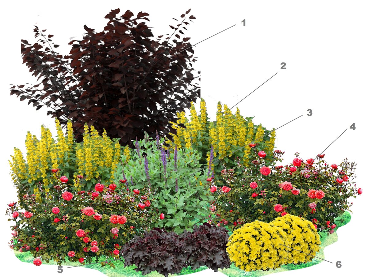 Клумба из многолетников непрерывного цветения: интересные варианты