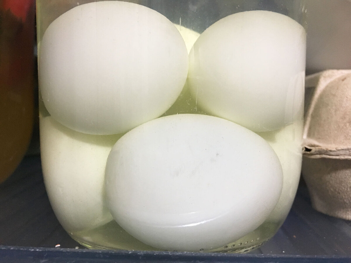 Соленые яйца