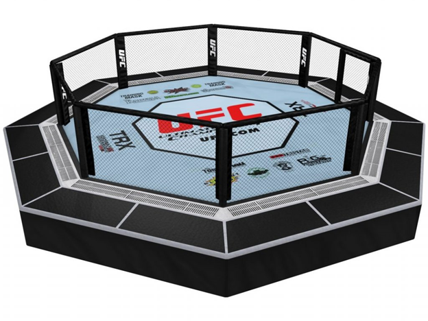    Ultimate Fighting Championship (Абсолютный бойцовский чемпионат) - американская компания по продвижению смешанных боевых искусств, базирующаяся в Лас-Вегасе, штат Невада, которая принадлежит и...-2