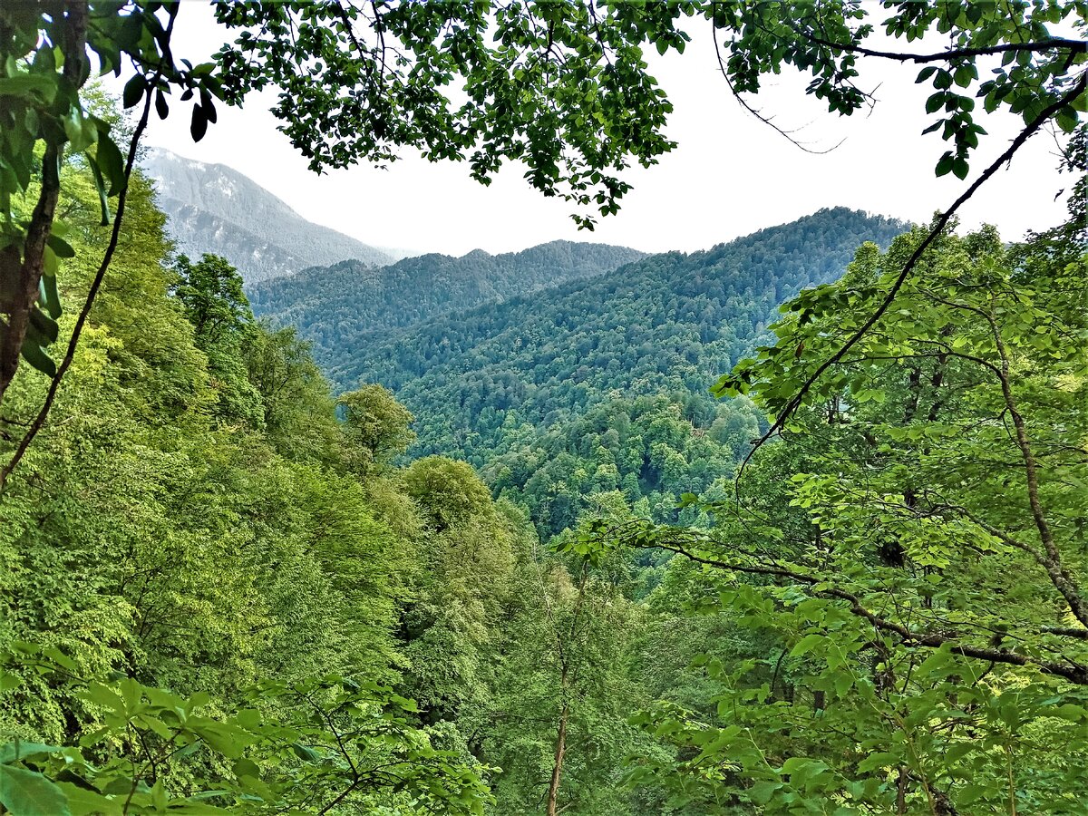 Вид с полянки на те места, где мы шли предыдущие сутки. Как раз вдоль ущелья, что прямо перед глазами.