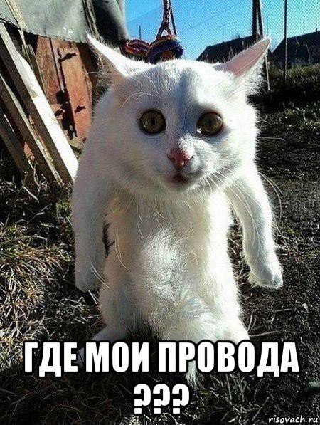 Создан с помощью сервиса http://risovach.ru