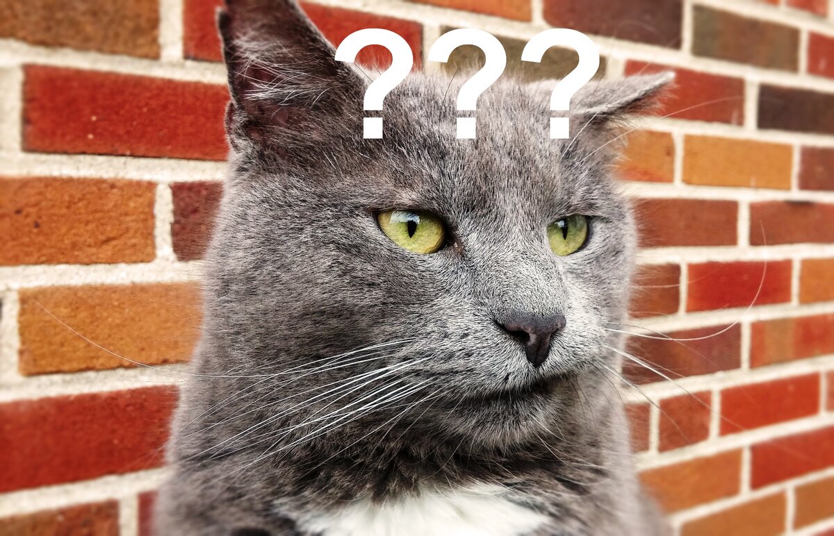 На самом деле, всё проще чем кажется