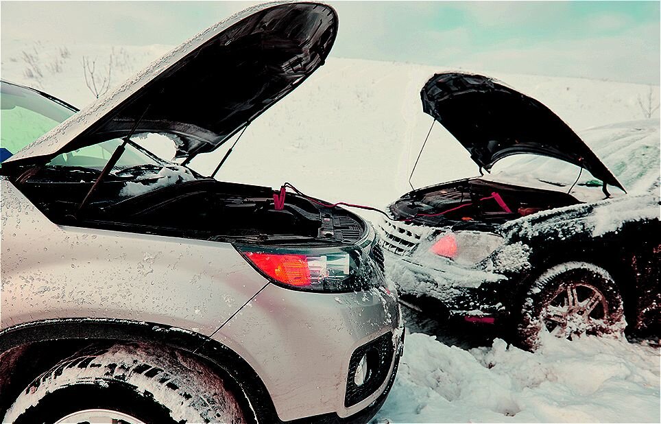 Картинка используется в качестве иллюстрации. Источник: Яндекс Картинки