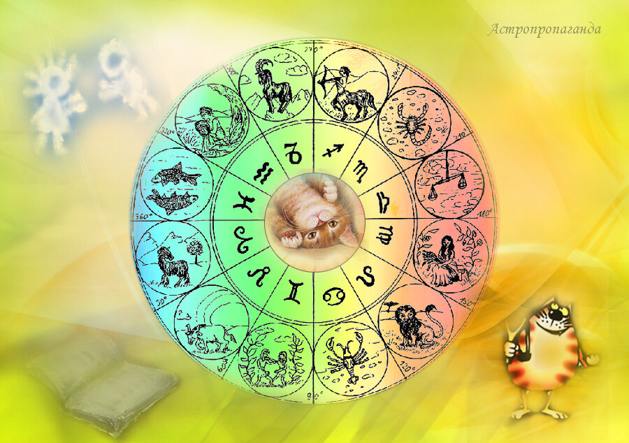 Коллаж Нины Стрелковой.