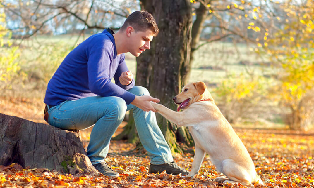 Фото из открытого источника