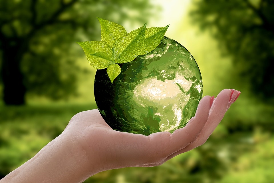https://cdn.pixabay.com/photo/2018/04/04/13/38/nature-3289812_960_720.jpg
