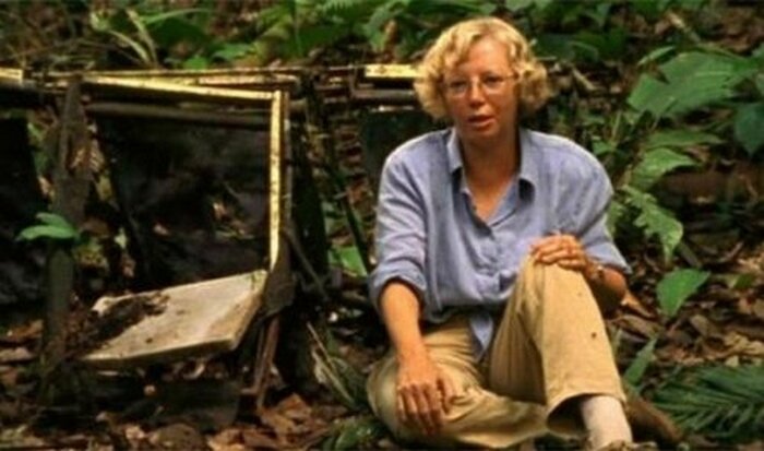 Подпишитесь я стараюсь искать интересную информацию 