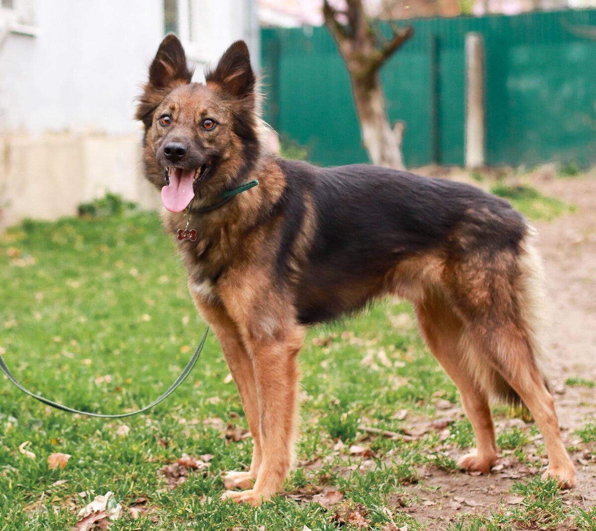 Филипп 89263303551 