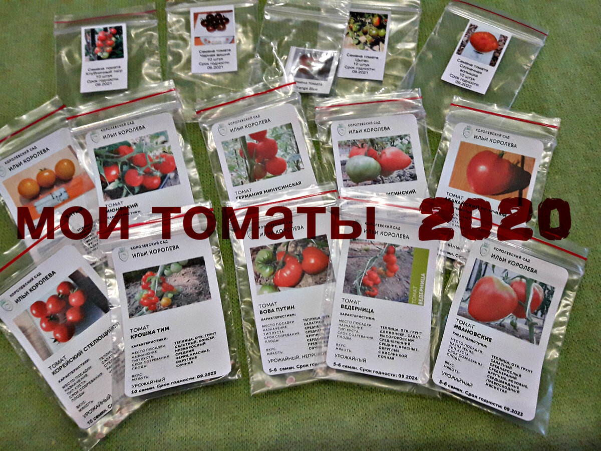Коллекционные семена томатов