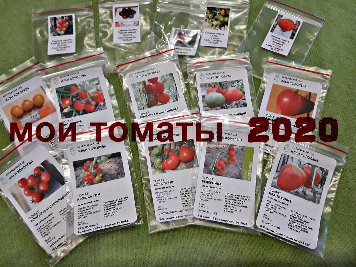 Лучшие томаты на 2025 год. Коллекционные семена томатов. Коллекционный помидор. Семена томатов от коллекционеров. Семена томатов на 2023 год.