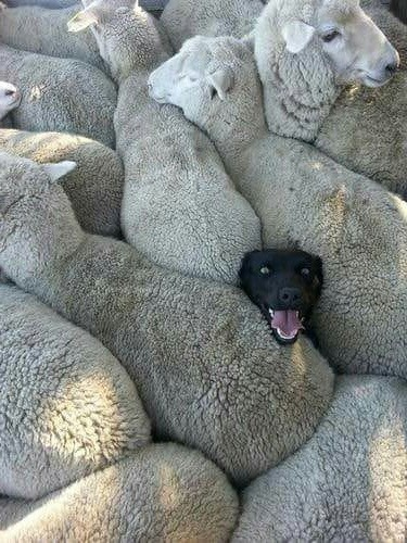 Общественный транспорт