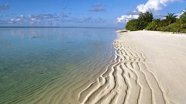 Фото взято с интернет ресурса яндекс картинки
