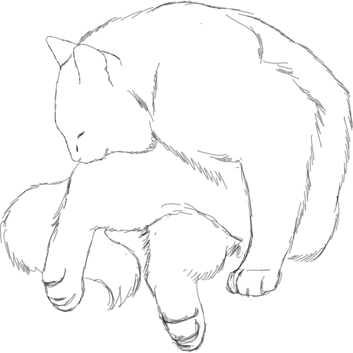 Феофан зализывает раны.