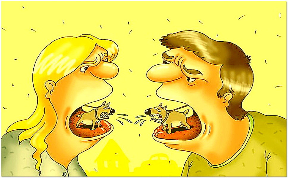 Источник фото: https://s9.stc.all.kpcdn.net