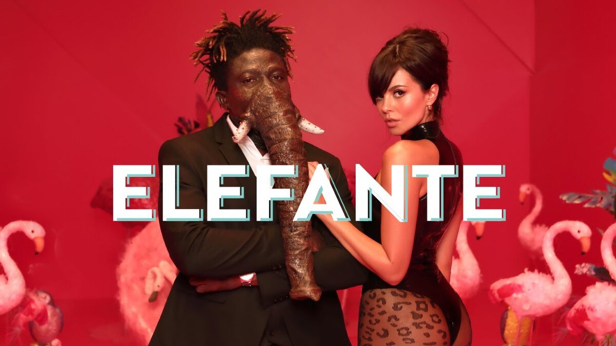 Фрагмент из клипа NK - ELEFANTE 