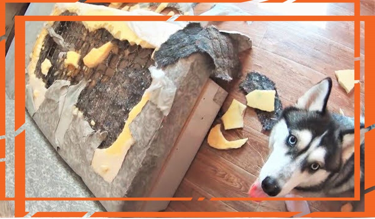 А он просто нашел себе занятие... | © ДиНа