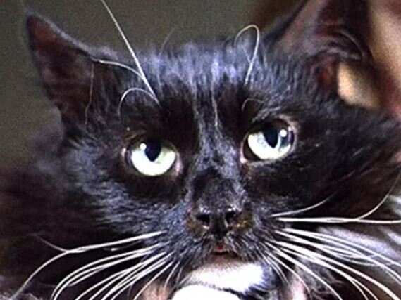 Источник: zen.yandex.ru