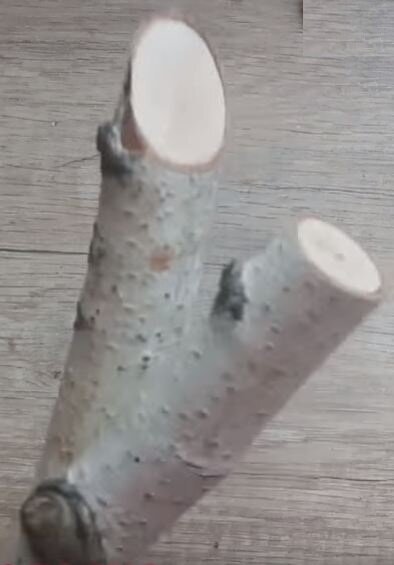 Палки, ветки слишком не толстые 