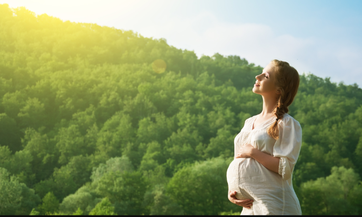 Фото взято из открытых источников